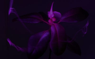 Mind Your Manners Around the World …