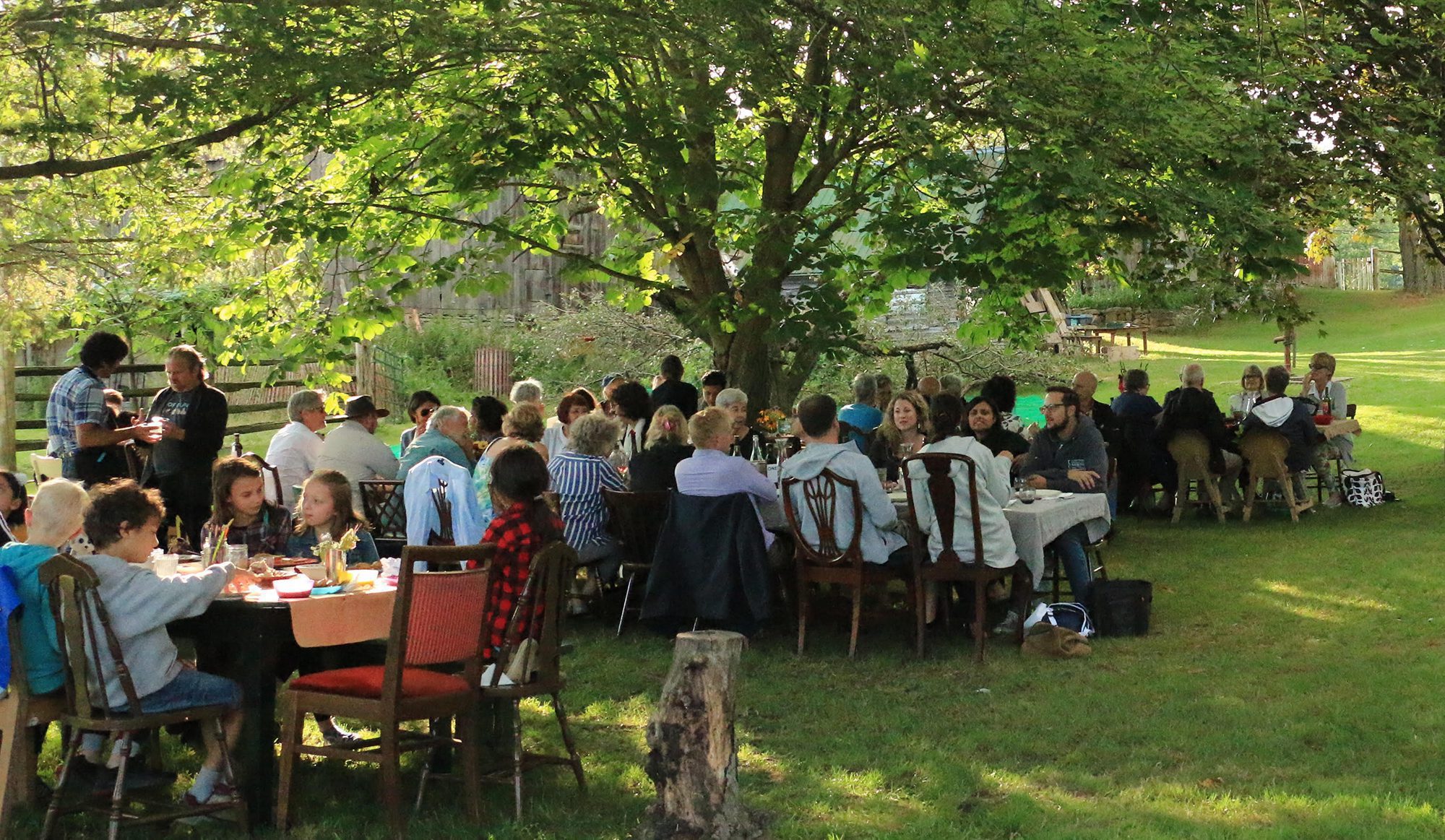 Three long tables with dinners chatting and eating outside