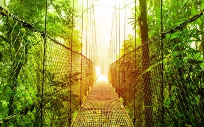 Living la Pura Vida in Costa Rica: A Solo Traveller’s Adventure