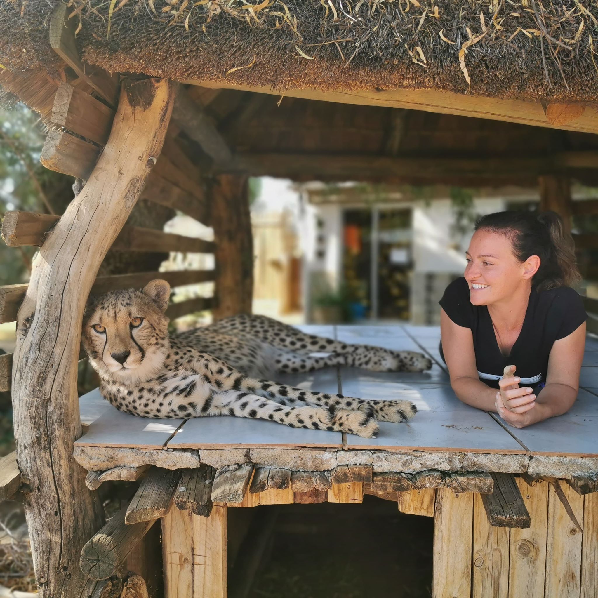 Aurelia and friend at the Cheetah Experience in South Africa