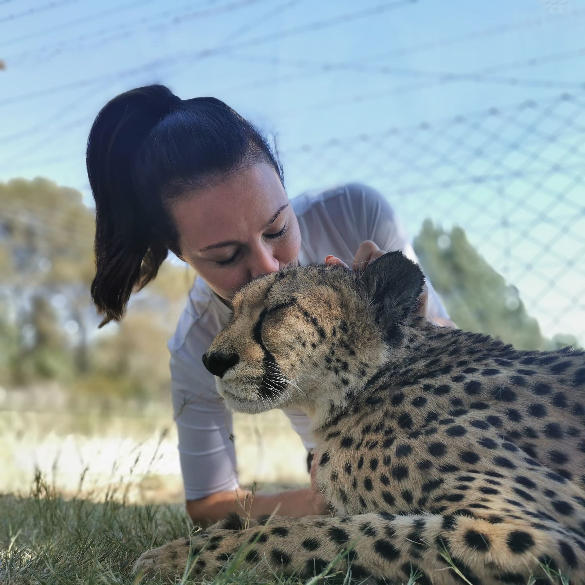 Aurelia is learning that everything works in harmony