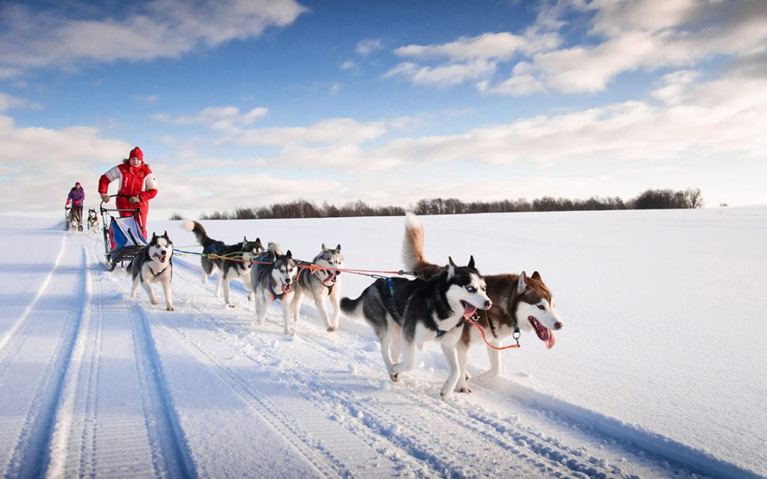 Fun on the road: The play-filled moments that make solo travellers feel alive