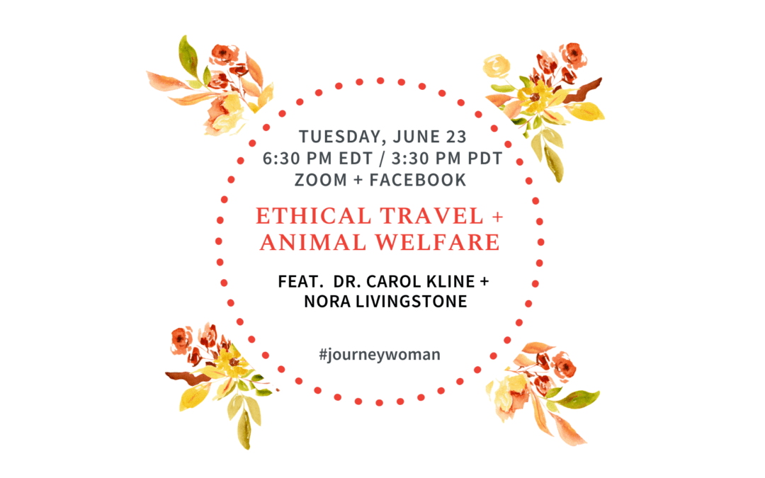 Ethical Animal Encounters: Travel Tips from Experts