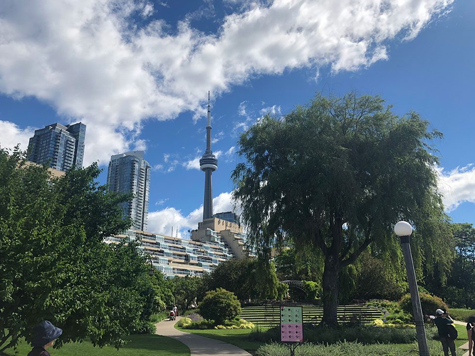 David Crombie Travel Tips