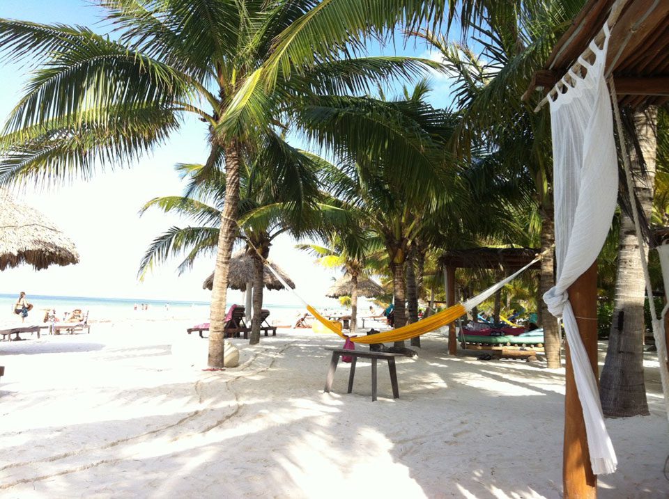 White sand beach with hammock strung between palm trees