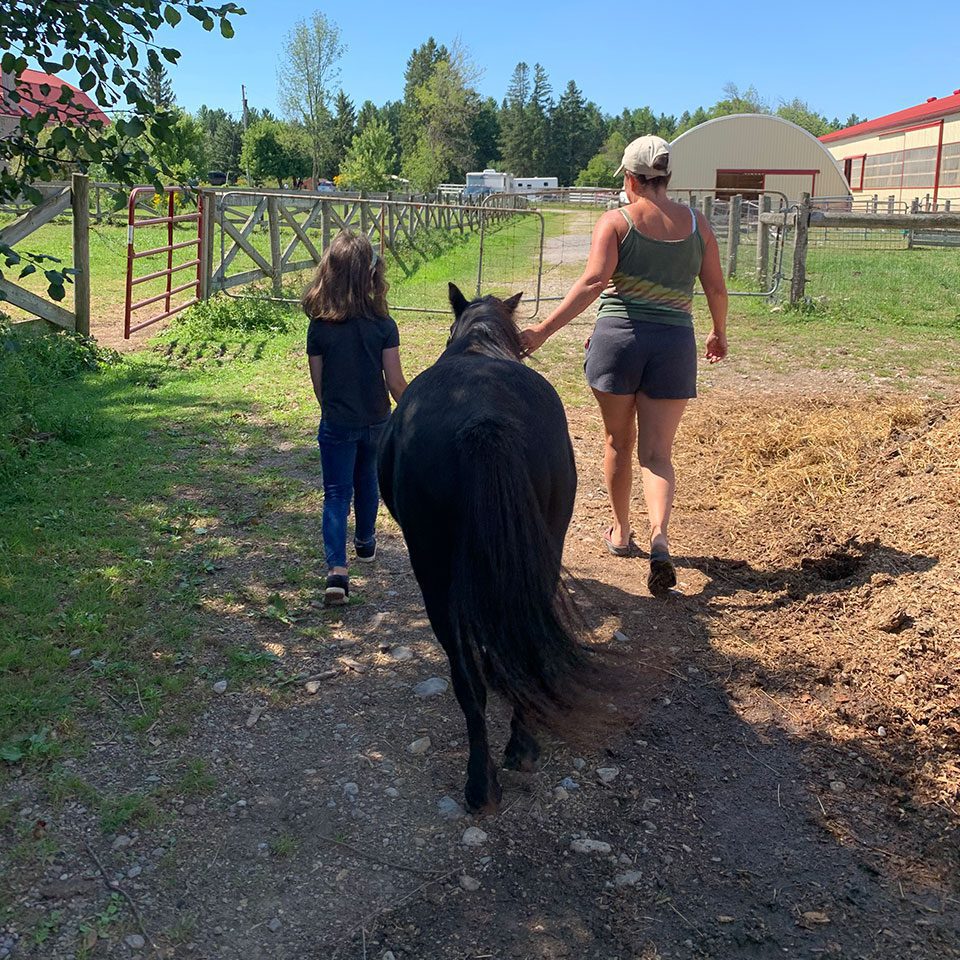 A young girl and woman leading a horse down a path