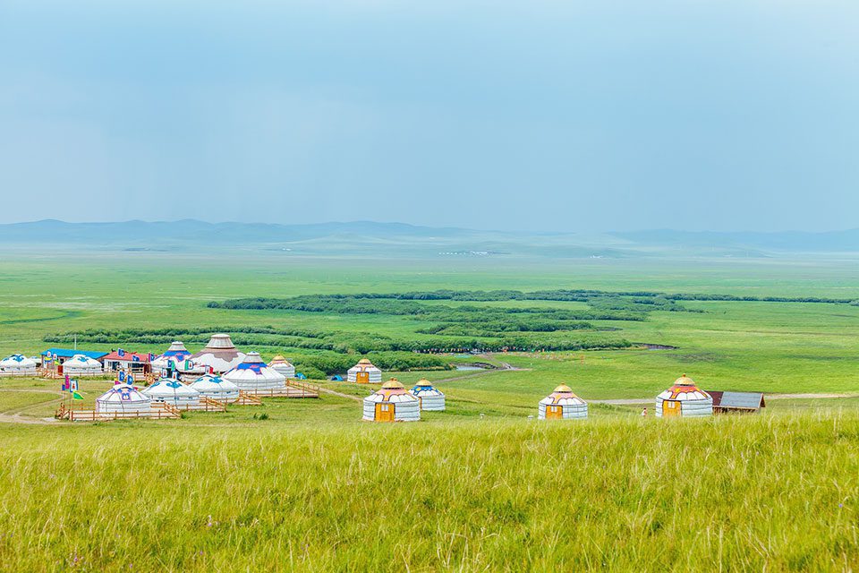 Yurts in a field in Mongolia