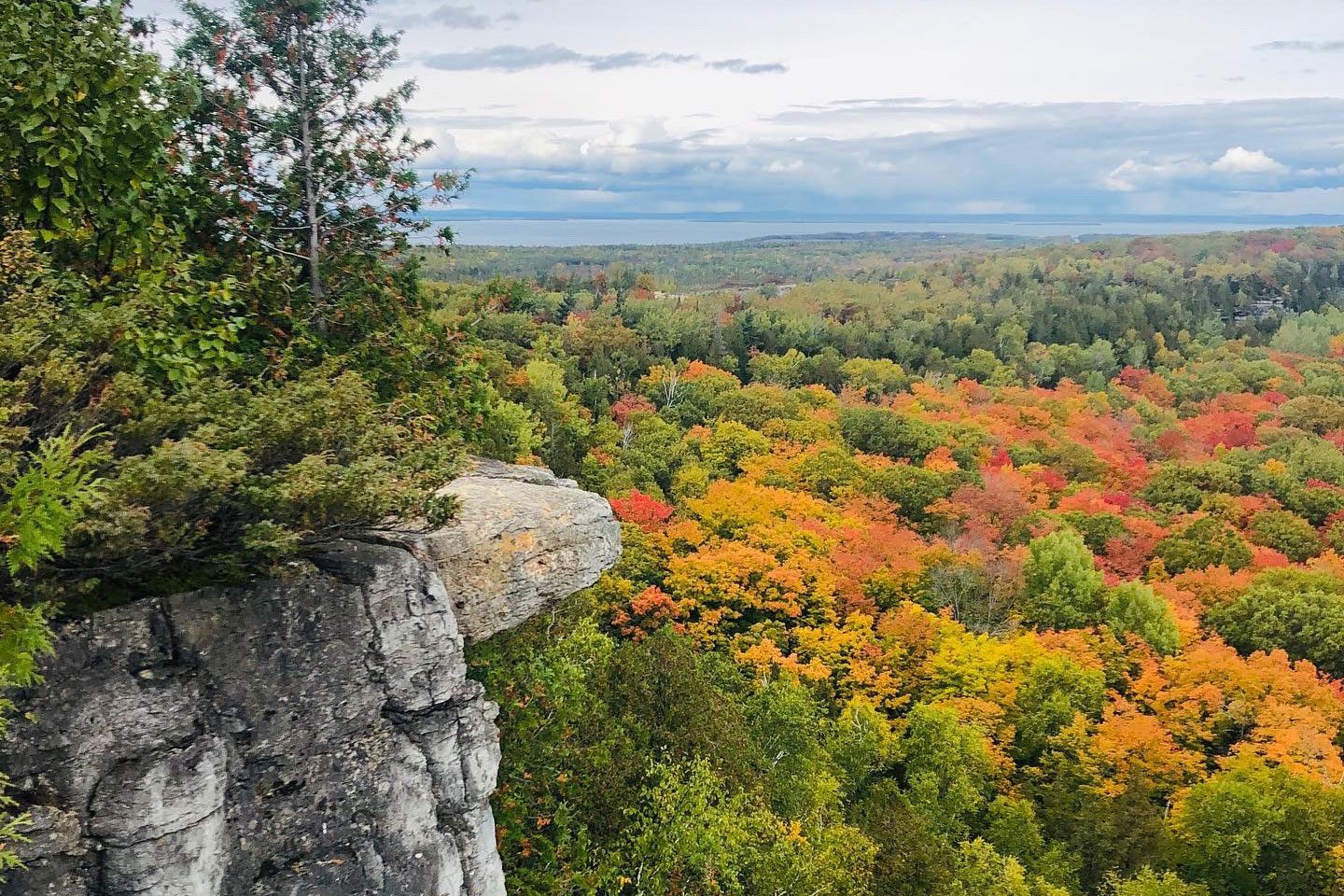 View from Cup and Saucer