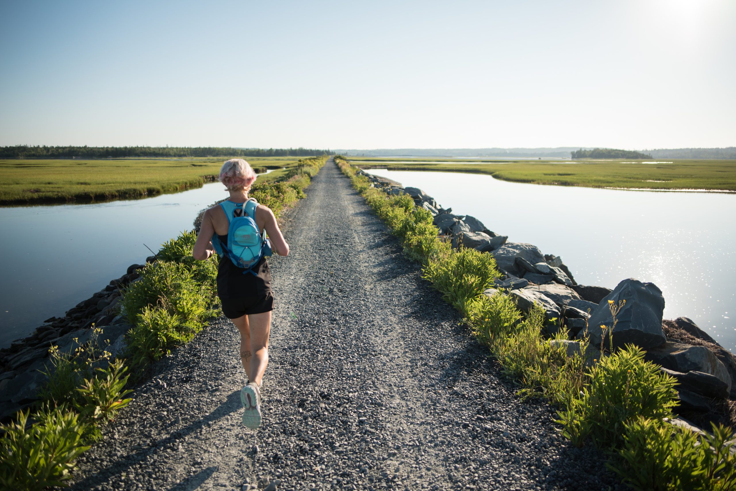 NS-Salt Marsh Trail-CREDIT Daniel Baylis