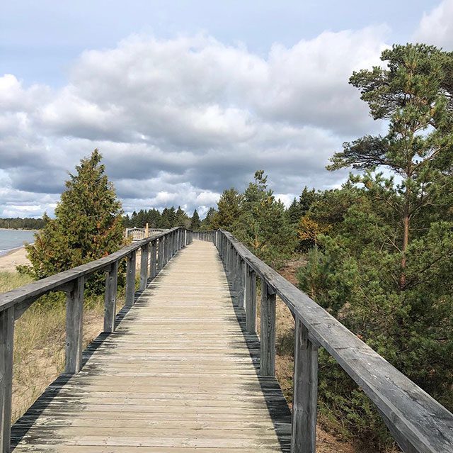 Boardwalk on Providence Beach