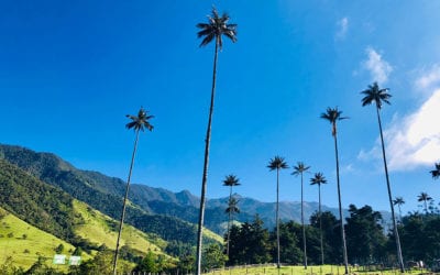 Women’s Solo Travel: Hiking Safety Tips in the Colombian Rainforest