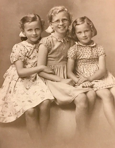 sheep grazing in ireland