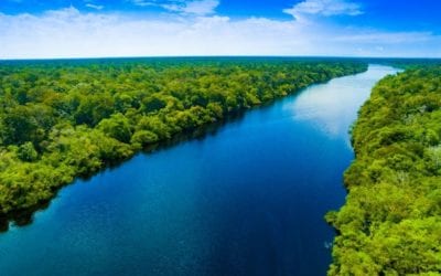 JourneyWoman Book Club: “State of Wonder” Takes You to the Amazon Rainforest (Brazil)