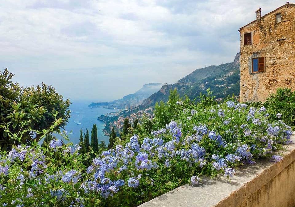 Falling in Love with the South of France: Women’s Travel Tips from Author Patricia Sands