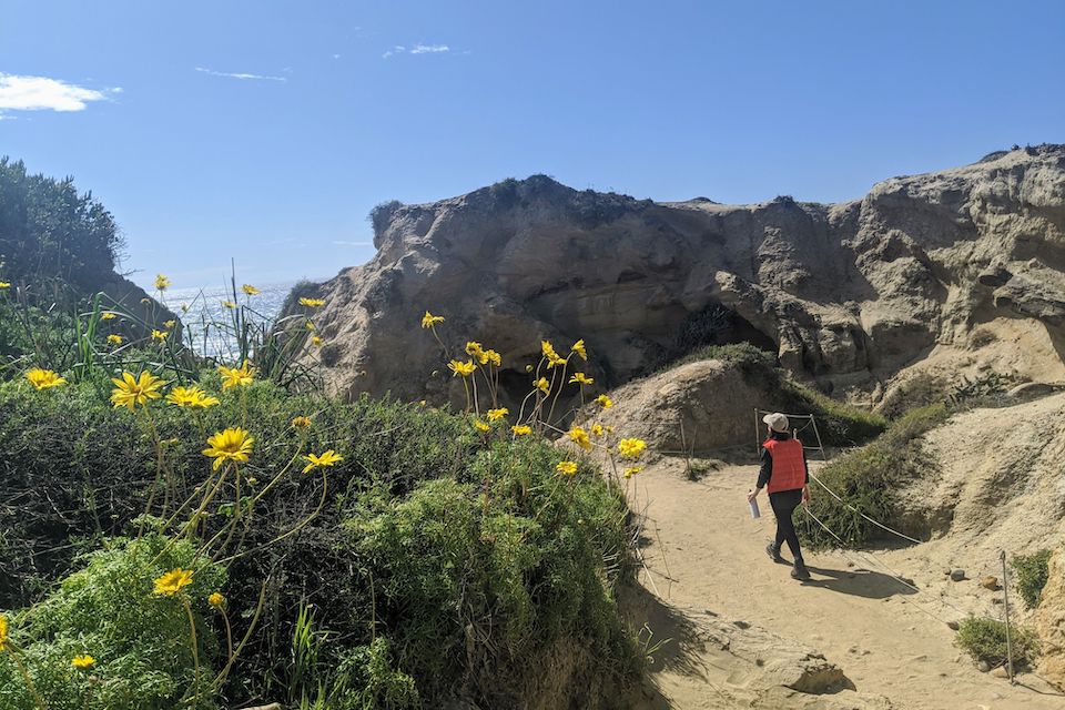 Torrey Pines Beach Trail