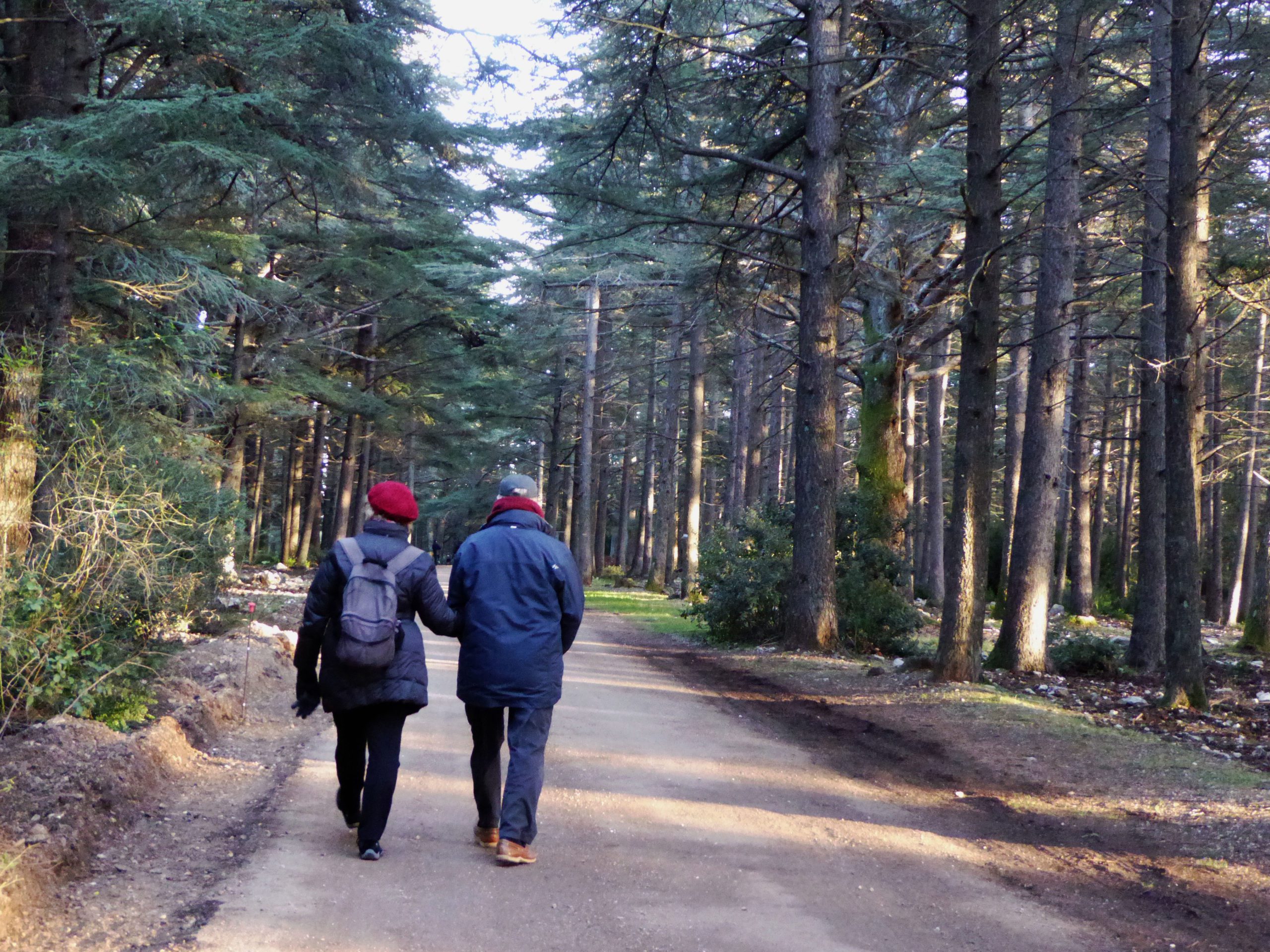 two people walking on road 