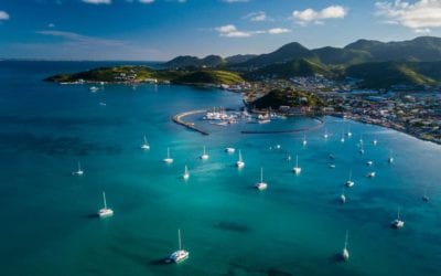 Escape to the Caribbean with “An Embarrassment of Mangoes” by Ann Vanderhoof