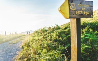 In “The Long Road Home” Alesa Teague Reclaims her Life Along the Camino de Santiago