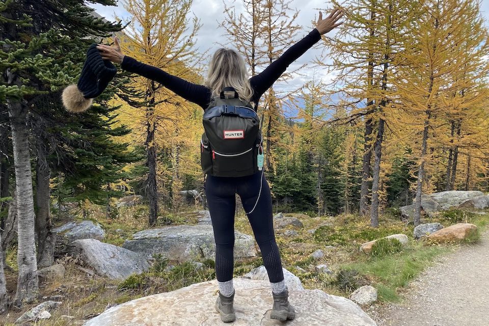 Arms up for the gilded glory of the larch trees, made a special experience for their two-week annual shelf life