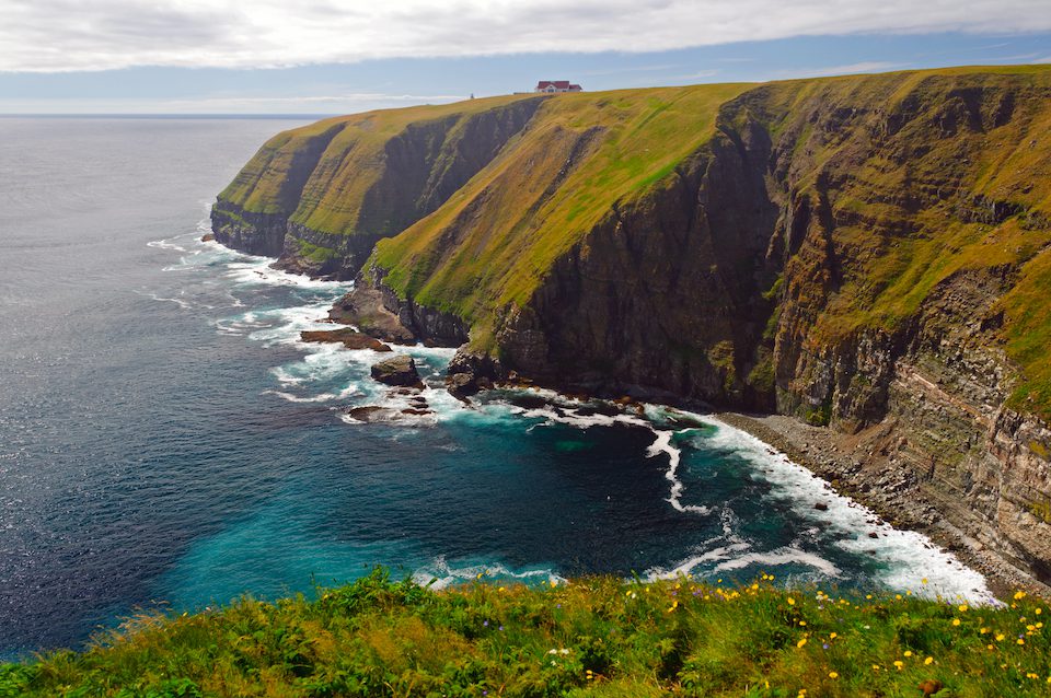 The coastal cliffs on Cape St Mary in Newfoundland, one of our off the beaten path destinations