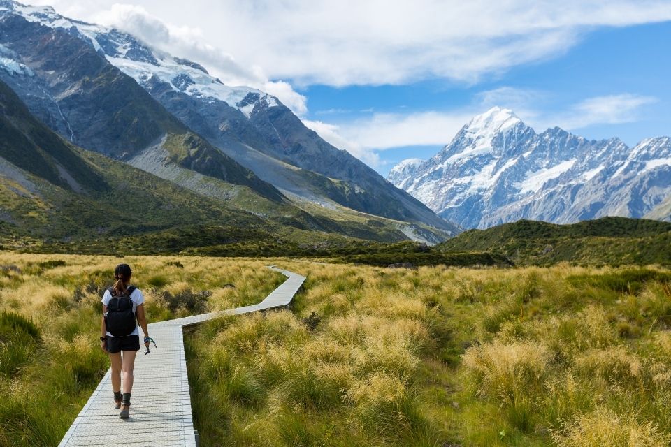 What to Wear, New Zealand