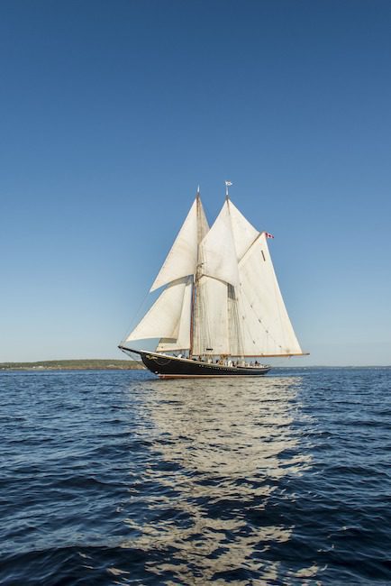Bluenose Schooner