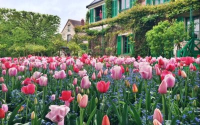 How to Travel Full-Time: A Solo Traveller in Her 70s Shares Her Tips