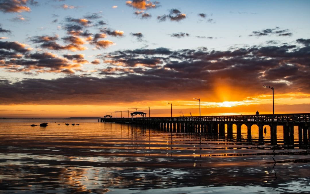 Things Women Will Enjoy in Tampa, Florida