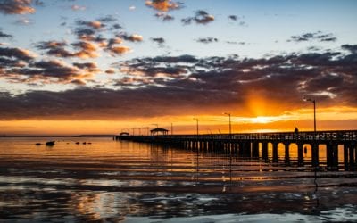 Things Women Will Enjoy in Tampa, Florida