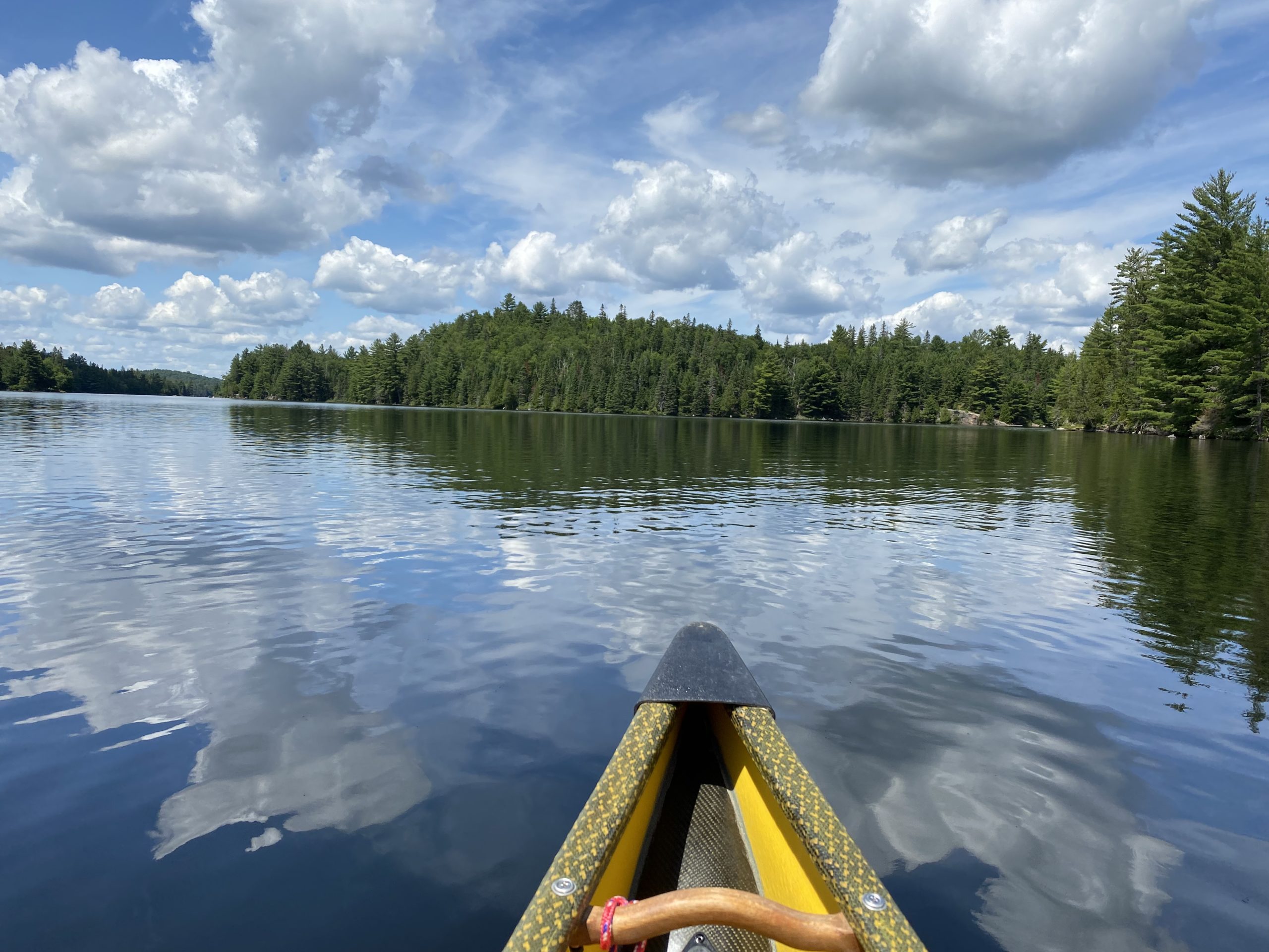 A canoe in a lake in Algonquin Park