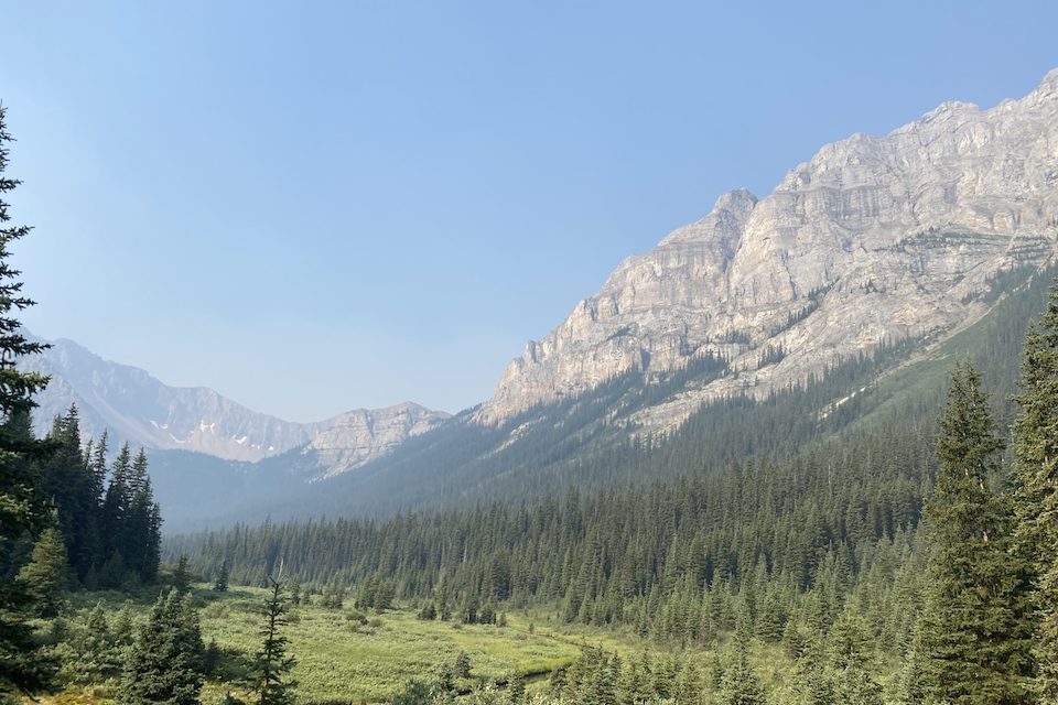 Looking out to the Canadian Rockies