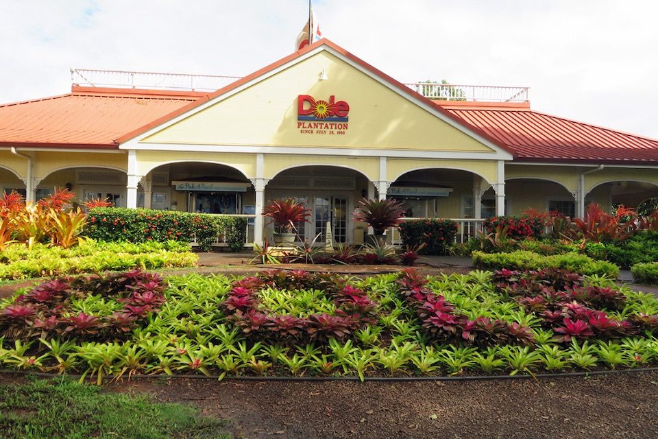 The Dole Plantation in Hawaii