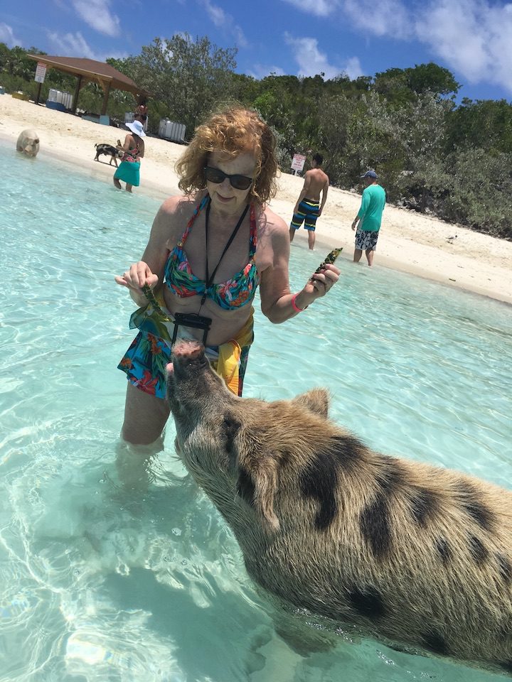 Diana getting friendly with a pig in Exuma