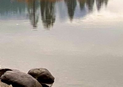 A forest landscape reflected in the still water of a pond
