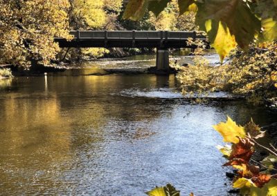 Yellow leaves framing a wooden bridge over a river