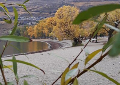 Overlooking a beach on a gloomy day
