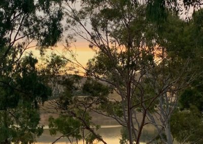 Light pink and orange sunset seen through the leaves of a tree