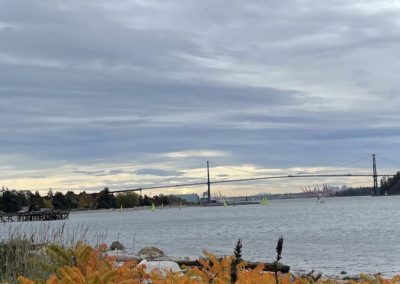 Beautiful orange leaves cover trees in front of a lake