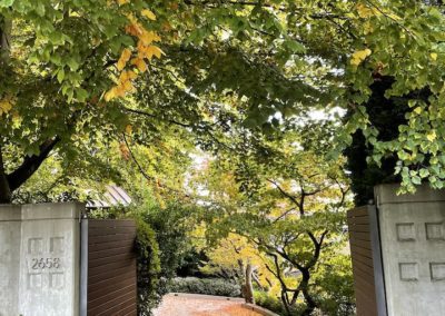 An open gate with trees lining either side of a gravel road