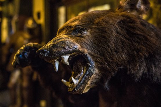 unique places to stay