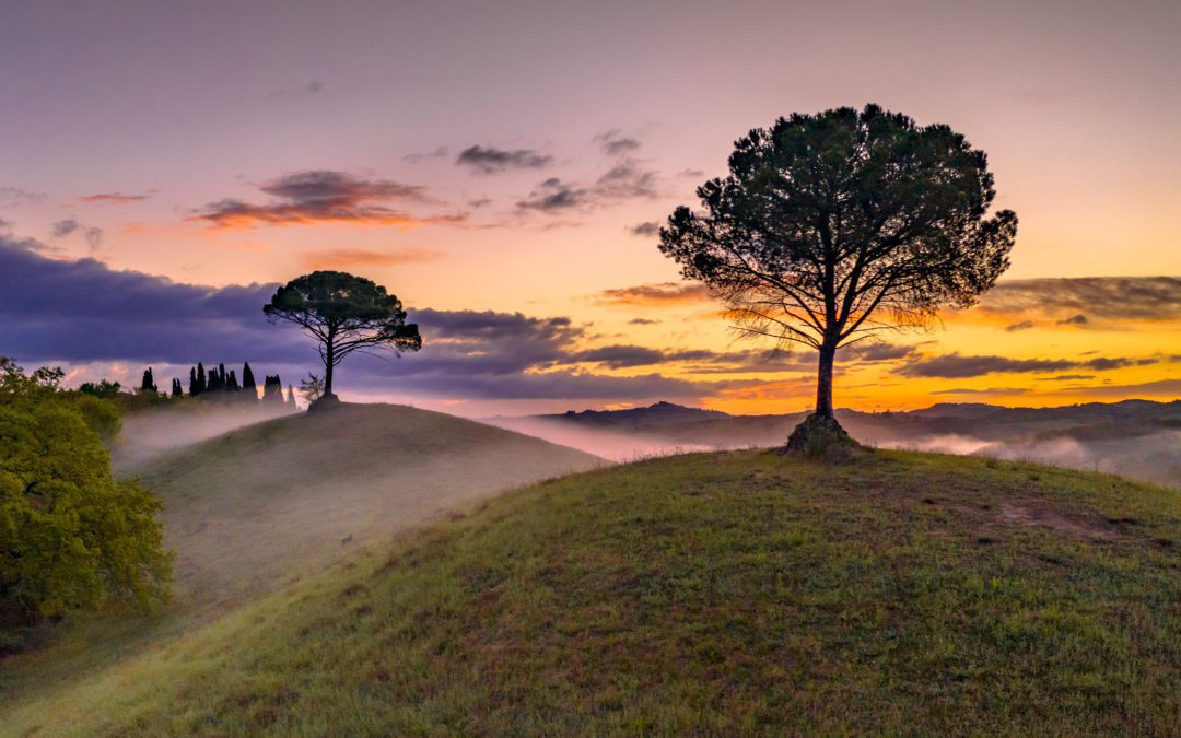 Six Wellness Retreats for Solo Women Travellers in 2023