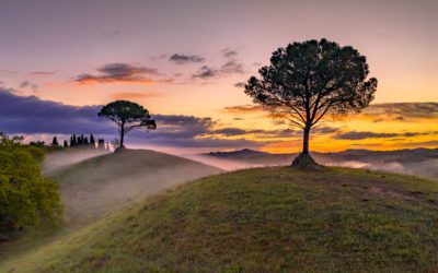 Six Wellness Retreats for Solo Women Travellers in 2023