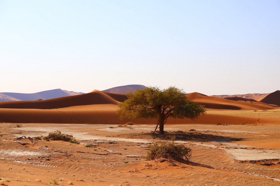 Desert in Namibia