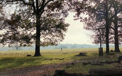 Six Things For Solo Travellers to Enjoy in London