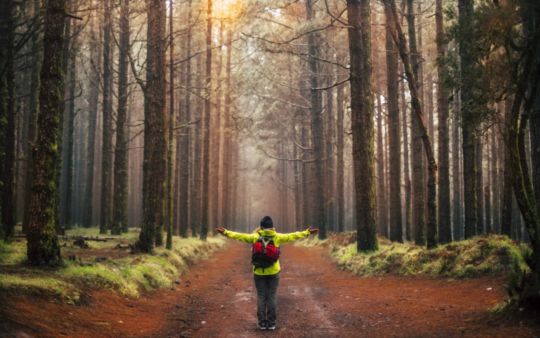 JourneyWoman Webinar: Sustainable Travel in the Post-COVID Era