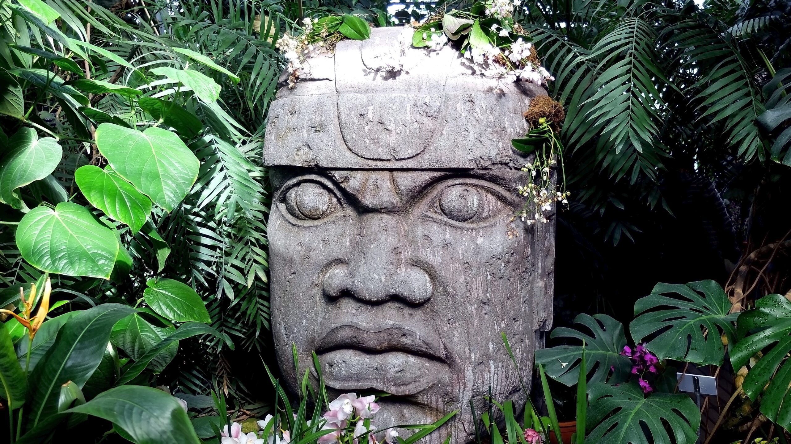 Mayan stone head from Mexico