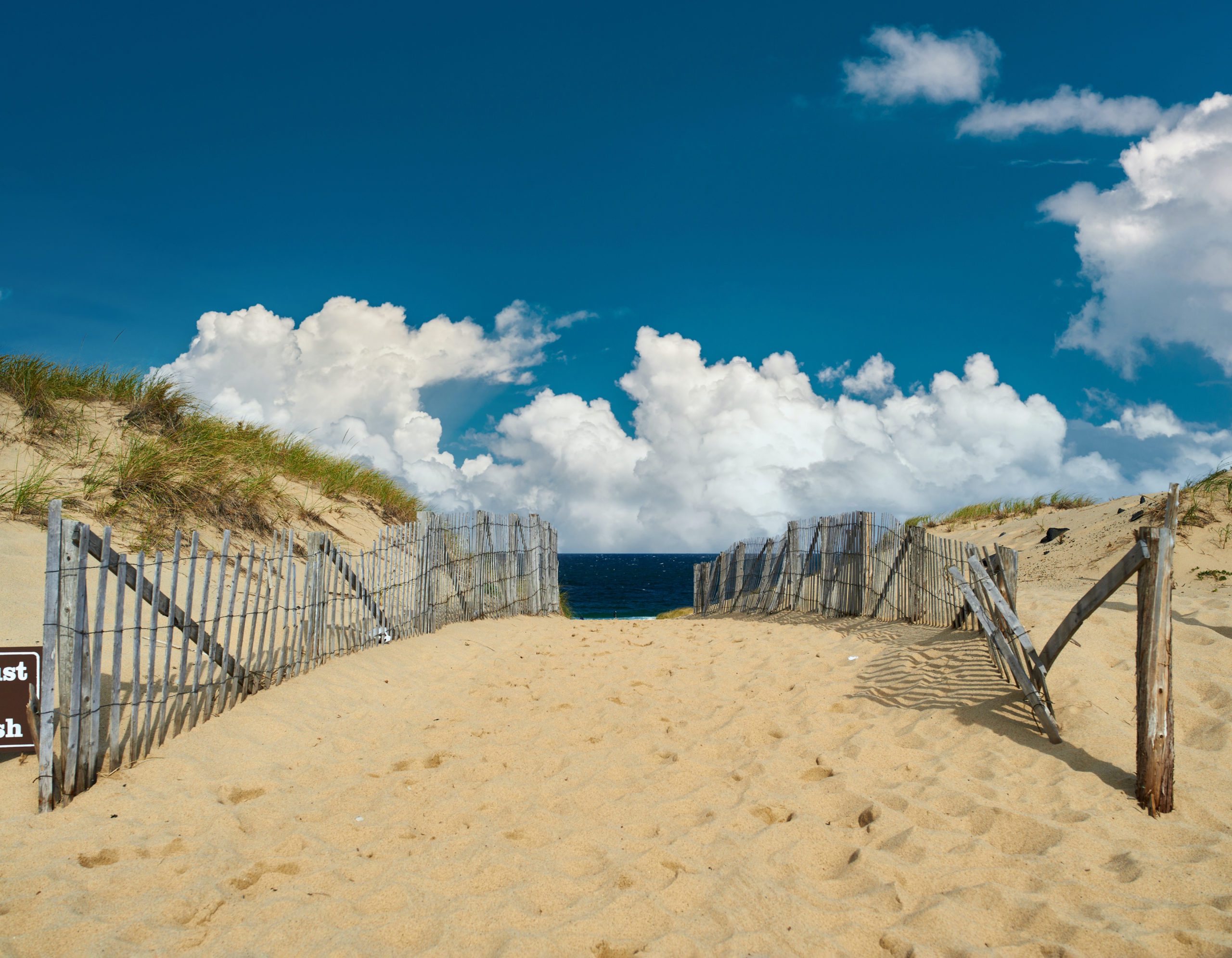 sandy path to beach in Cape cod
