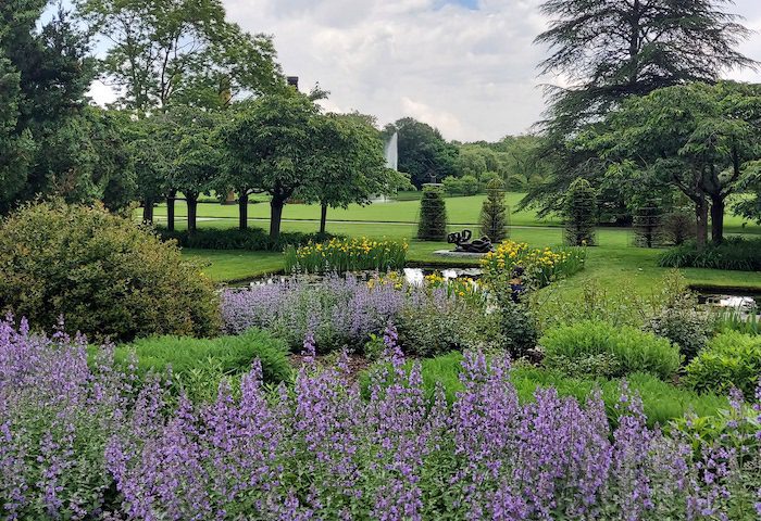 Lavender plants at Pepsi Sculpture Gardens