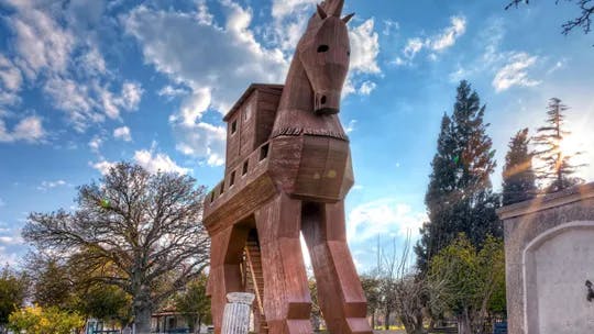 Turkey Trafalgar Last Minute Solo Travel Deals