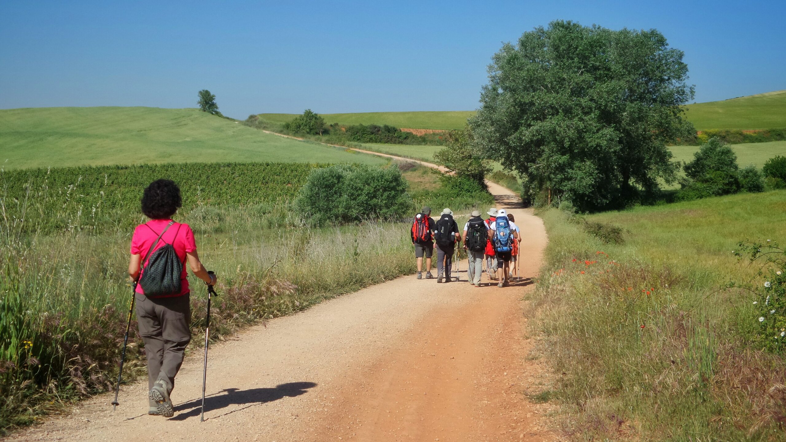 Woman hiking on the Camino de Santiago